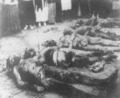 The bodies of hostages found in Kherson Cheka in the basement of Tulpanovs house. 1918, Red terror from kakalia cheka