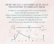 How much cannabis actually transfers to breast milk from picture sex breast milk porn 3 jpg