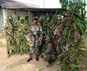 Indian crowbruh commandos at CIJWS (counter insurgency and jungle warfare school) from indian jungle sex xx