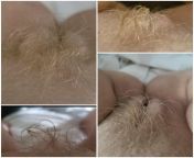 [SELLING] Pubic HaIr from my rare Golden Pussy, video included &#36;25 from little pubic hair is showing on hair pussy
