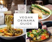 Vegan Okinawa Guide (Best Vegan Restaurants in Naha, American Village and more) from naha kakk