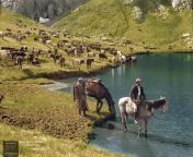 &#39;Watering cattle at Mount Kosciuszko&#39;, probably at Blue Lake, New South Wales, Australia, c. 1900. from south heroins blue films