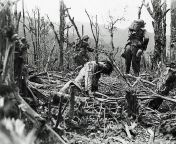 GIs of the 25th Division advance past a dead Japanese soldier, fallen across a bomb-splintered tree. Balete Pass, Luzon, Philippines, April 12, 1945 from levittown division girls naked a