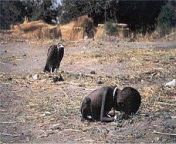 The vulture and the little girl is a photo taken by Kevin Carter of a starving Sudanese child, initially thought to be a girl, but later confirmed to be a boy. The child was on his way to a nearby feeding center when he collapsed. from sudanese wrda