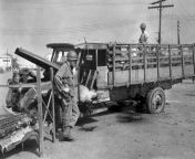 PFC. Basil Harvey looks at the damage his hand grenades did to the Japanese soldier in the driver seat of a truck while Filipino Jose Crudo checks the dead Japanese in the bed of the truck. Claro M. Recto Avenue, Manila, Philippines. February 1945. from hand lose6262（mini777 io）6060 philippines online entertainment milyun milyong cash withdrawal sa minuto at segundo hand lost6262（mini777 io）6060 philippines best gambling platform recommendation hand lost6262（mini777 io） 6060 pinakamahusay na portal ng bookmakers sa pilipinas boi