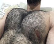 I guess I&#39;ve never done a close up of my big hairy chest from www desi big hairy chest uncle sex in hotelrse
