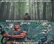 What&#39;s that sound? from thao39s bushcraft