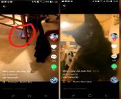 Hey, i&#39;m put here two pictures... One is showing the kitchen of the cat killer, and the other has a flyer on the floor. Could you find out what this pamphlet is about? Oh and in the picture about the kitchen her are showing to us in the photo where sh from booby showing to