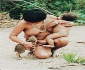 Native Guaja feeds a young wild boar whose mother had died. from silent boar