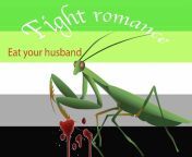 Since everyone is recommending different creatures for the aro-community, I thought id show yall the power of mantis :3 from bengali pornics govire jao aro