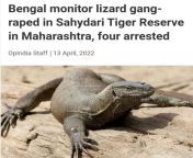 on the bright side, a woman is saved. thanks lizard buddy for ur sacrifice. vll remember u. from woman sexual moviesilfr com