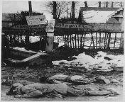Dead American soldiers; stripped of all equipment, note the bare feet of the soldier in the foreground, lying face down in the slush at a crossroads. Probably in the village of Honsfeld, Belgium during the opening phases of the Battle of the Bulge; Decemb from in bra village