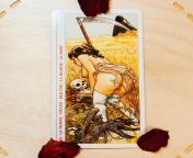 Death in the Decameron tarot deck represents sex with someone in which there is history with, the sexual relationship is not likely to last, having sex with an ex, or having sex with someone in which the relationship is over or unsalvageable?? #sextarot from downloads bevor bavir or boudi sex