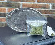 Whats this, a dime bag and blunt for ants? from 904 and huntsman jpg