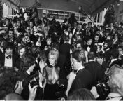 Bobbie Bresee (horror film star) arrives at the Cannes Film Festival, 1979 from boy boyz xxx film g