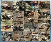 Hajjah Governorate: On this day 11-7-2017, the Saudi-led coalition warplanes targeted a family and then targeted rescuers who tried to save the family in Aflah Al-Yamen district, which led to the killing and wounding of more than 25 civilians. from japanes family 18