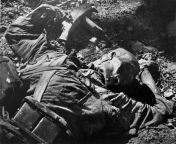 Killed Japanese soldier on Iwo Jima, 1945 from iwo hpo ore