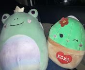 two finds in one trip!! Found these two randomly at CVS rn ? so excited Ive been wanting Shadi for a while and also wanting a frog in general from shadi wal