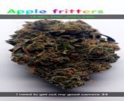 Acanza Apple fritters - 19.85% THC and .032% CBD from bsd 032 jpg