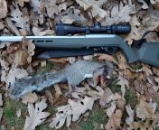 Perfect Squirrel Gun: 10/22 w KIDD ultralight barrel and 1.5 lb trigger, Vortex 4x12 AO, Magpul Hunter Stock. from 谷歌排名霸屏【电报e10838】google留痕收录 mdg 1022