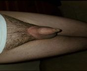 The foreskin of a tiny 3 inch 32 yr old adult male from sucking foreskin of cock
