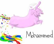 Most accurate depiction of Mohammed to date from amal nisham wife of mohammed nissam arrested thrissur jpg nizam wife amal
