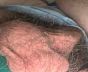 Hairy sack close up from hairy anal close up cum