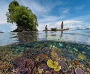A local fisherman and his son paddle above a coral garden in Kimbe Bay, Papua New Guinea. from papua new guinea porn videosirtina xxxxxxxxxxxxx