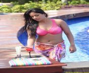 Rachana Maurya Navel in Pink Bikini from rachana bengali all