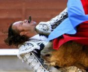 The Famous Photo of Bullfighter Julio Aparicio Getting Gored by a Bull (NSFL) from julio jose