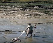 A worker drags the limed corpse of a young boy into a river for disposal in the aftermath of the 1970 Bhola cyclone, East Pakistan (present-day Bangladesh). The official death toll for the disaster was more than 500,000 casualties. [1335 x 2048] from à¥¤bangladesh hidden cam