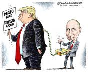 When I see people say, Putin NEVER wouldve attacked if Trump was POTUS! Hm. Well, thats because Trump gave Putin anything he wanted bc Trump wanted that dick.tatorship type of life. from cewe putin