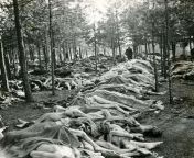 Piles of emaciated corpses at the Nazi concentration camp at Bergen-Belsen, Germany. [351 x 350] from nazi nude camp