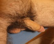 close up hairy for you from close up hairy cunt tulips net nude