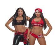 Let&#39;s discuss about this: Brie Bella or Nikki Bella, which one do you prefer? (i personally prefer Brie) from wwe divas nikki bella nude bobe
