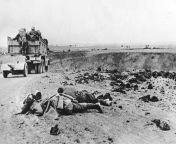 The bodies of two fallen Soviet soldiers lie at roadside, while a truck of the Romanian Army, with an artillery gun in tow, advances towards the city of Kerch, in June 1942, during the Battle of the Crimea. from kashmir army sex an