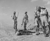 British soldiers examine the MP-40 of a killed Afrika Korps motorcyclist from afrika saxsi movedia scho