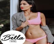 Nikki In The Bella Twins from wwe bella twins nude