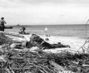 Dead American soldier on the beach at Wakde, Dutch New Guinea. May 18, 1944.?? ?NARA SC 190497? from nara brahmini puss