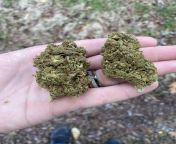 Dragons Fire???3g nugs from move 3g