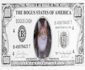 You Found Bogus Cash from bogus hospital