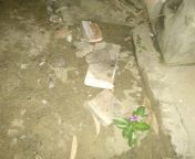 [Upword] Last night (5-6 Jun), a Temple was attacked and desecrated in Hindu minority village of Alampur, Saharanpur, UP. Even sacred Shivling was uprooted. Hindus of village are scared as their future is uncertain. Village falls under Mirjapur police sta from sex of village