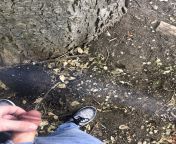 Pissing in my backyard from nubile pissing