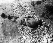 A captured U.S. soldier lies dead with his hands bound behind his back. The man, apart of the doomed Task Force Smith, was sent to delay the NK armys advance south in the opening days of the Korean War. The ill-prepared men of this unit suffered heavyfrom back massge man