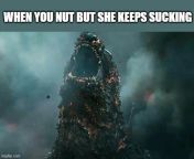 Godzilla and Mothra be like: from godzilla xx mothra