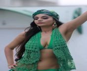Sanam Shetty looks gorgeous in Green Bikini from sanam shetty nude foto