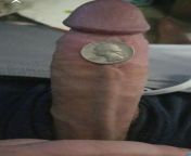 Wow i never realized how small quarters look on my fat cock from moster cock gonzo dino