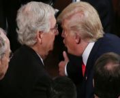 Trump and Mitch Sitting in a tree, K-I-S-S-I-N-G. First come love, then comes marriage, Then come Mitch with a baby carriage. from mitch triken patrol