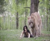 After I saw the recent bear vs man thing I knew what I had to do. I invoked my right to bear arms and swapped bodies with a bear. Now in my new harmless body I just needed to approach a woman in the woods and I will be eating that ass all day long. from vs man sex videogla