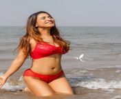 Hot bikini babes hot bikini actress&#39; from pavitra punia hot bikini